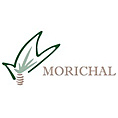 Morichal